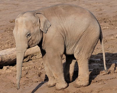 3338646285_3991486924_w