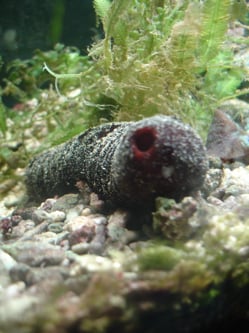 393284731_785ea098fe_o