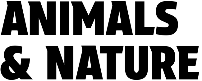 Animals-Header2