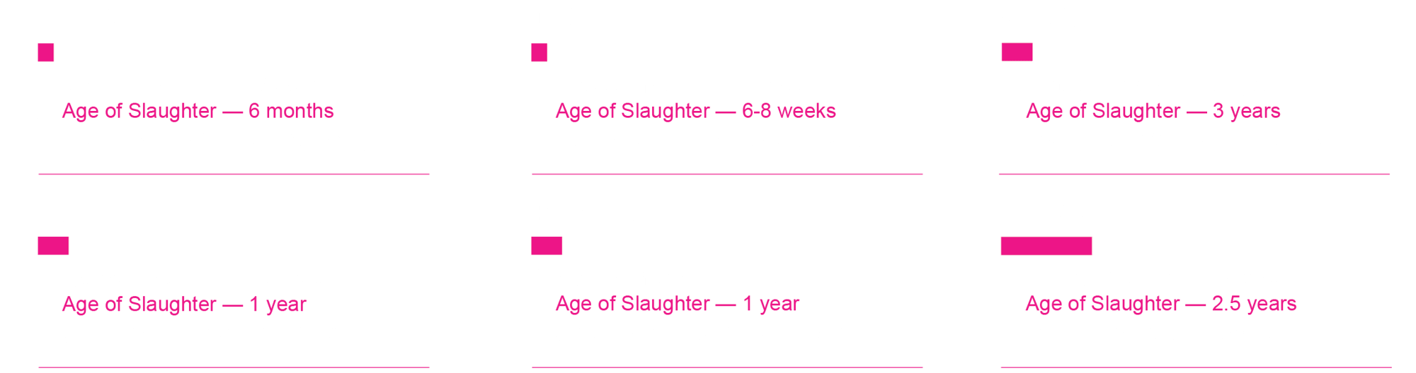 Age of Slaughter Infographic