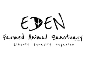 Animals-Sanctuaries7