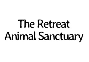 Animals-Sanctuaries8