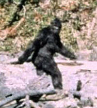 Patterson_Gimlin_Bigfoot_(cropped)