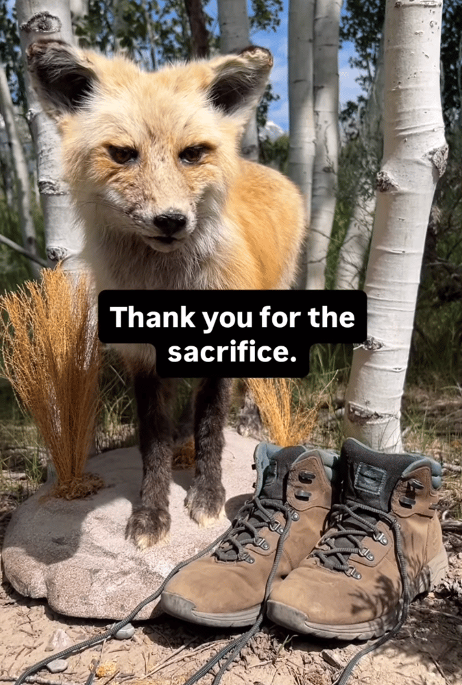 Screenshot 2025-07-21 110627