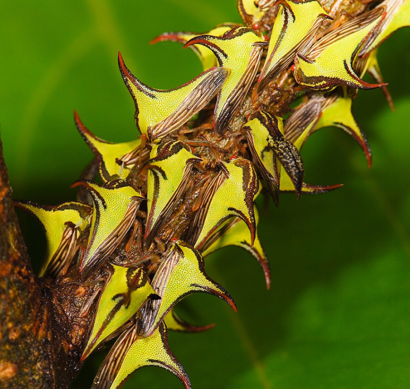 Screenshot 2025-08-05 184046