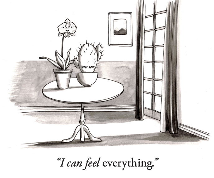 Screenshot 2025-10-28 at 8.52.57 AM