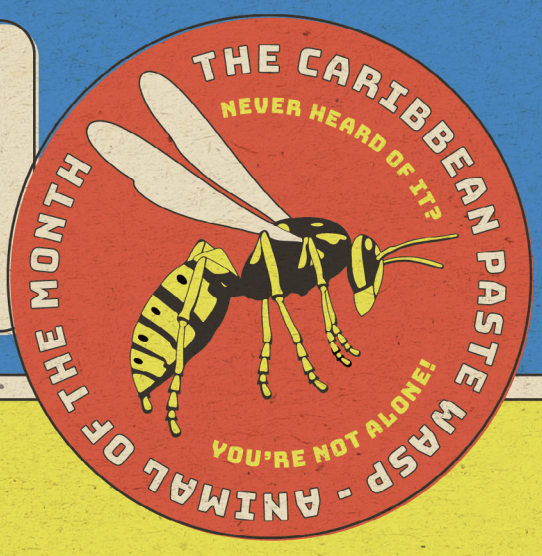 Screenshot 2025-11-11 at 2.58.32 PM