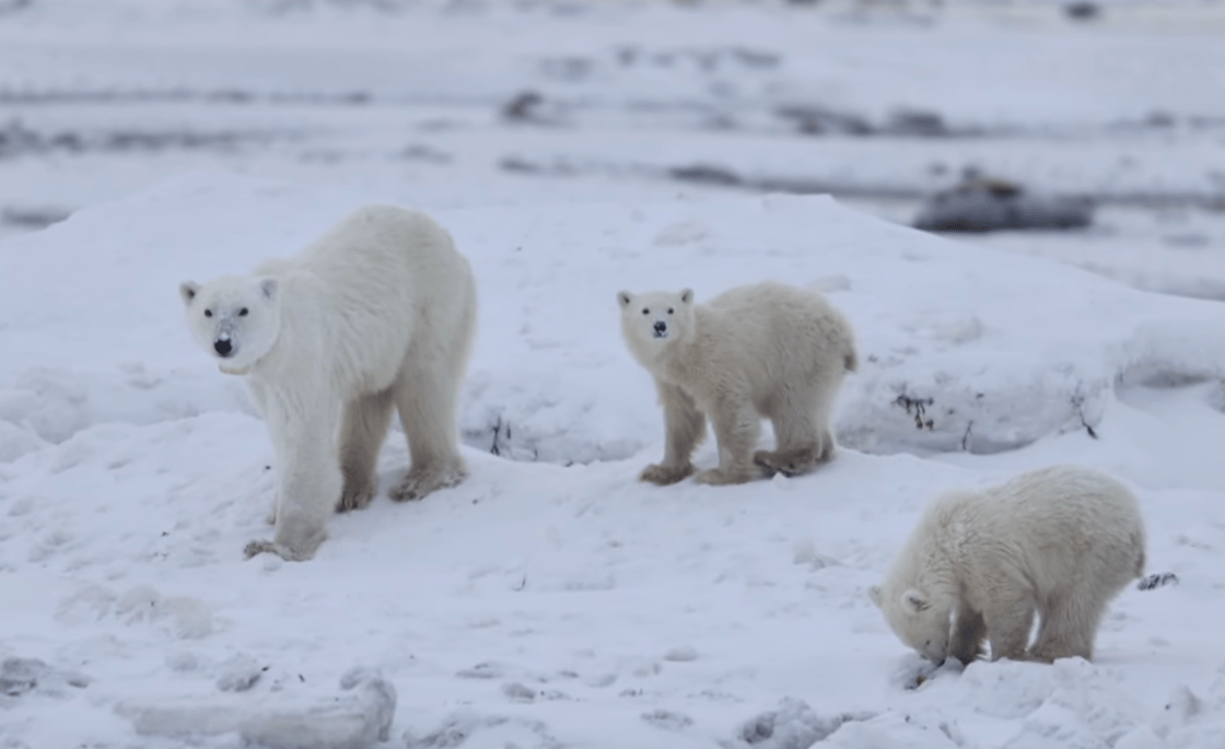 Screenshot 2025-12-23 at 1.30.50 PM