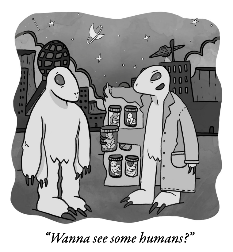 Screenshot 2026-02-03 at 2.38.20 PM