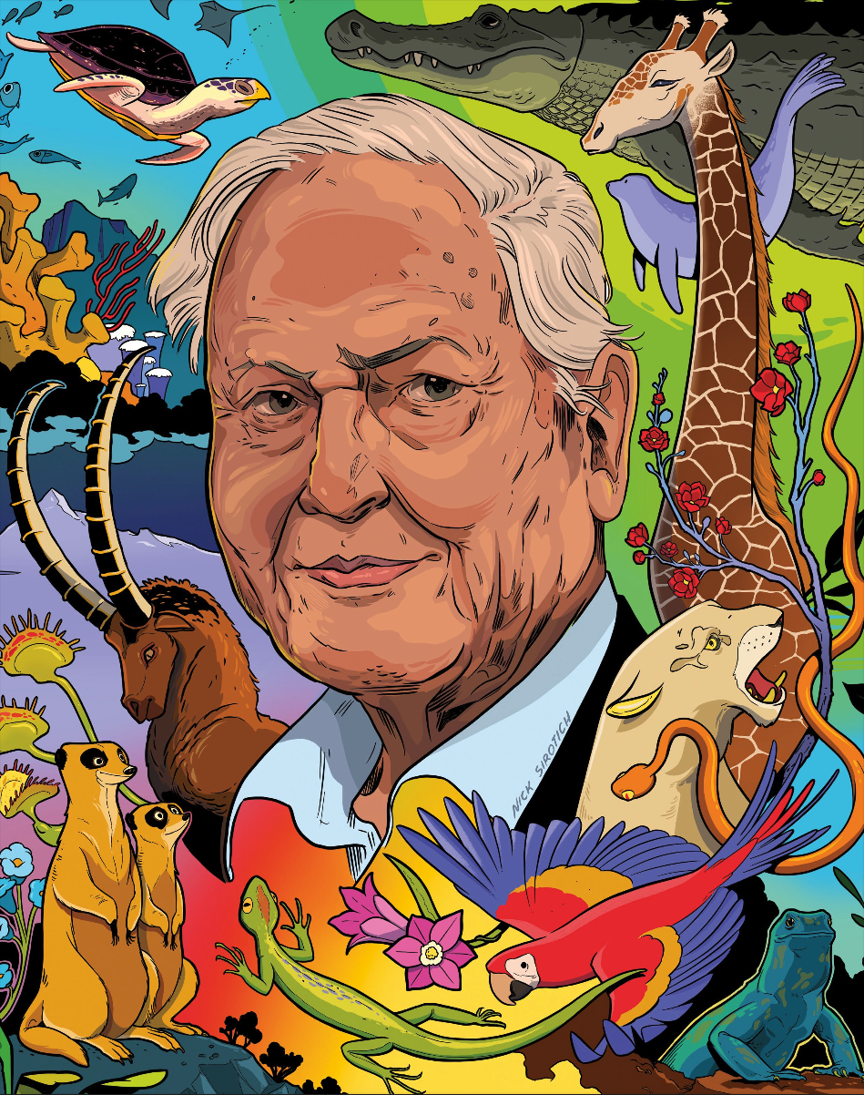attenborough-art