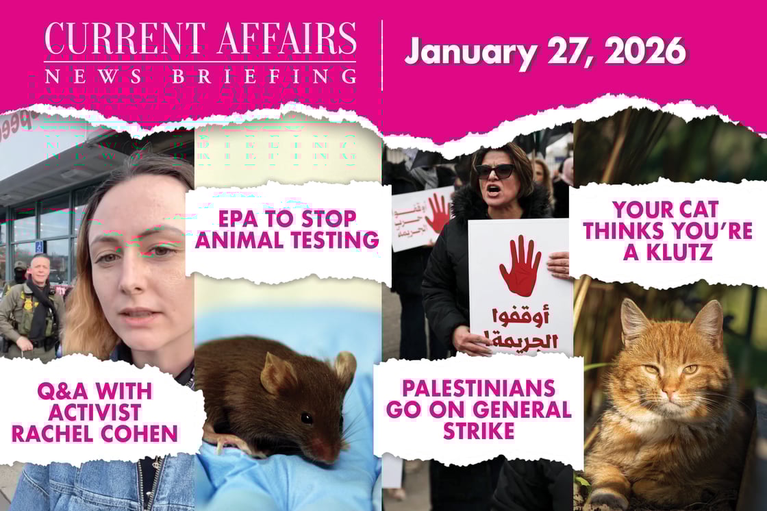 briefing-jan-27-edited