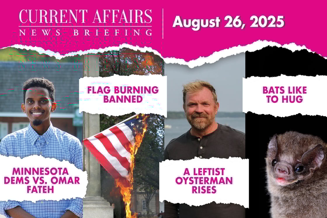 briefingpromo-203-V1