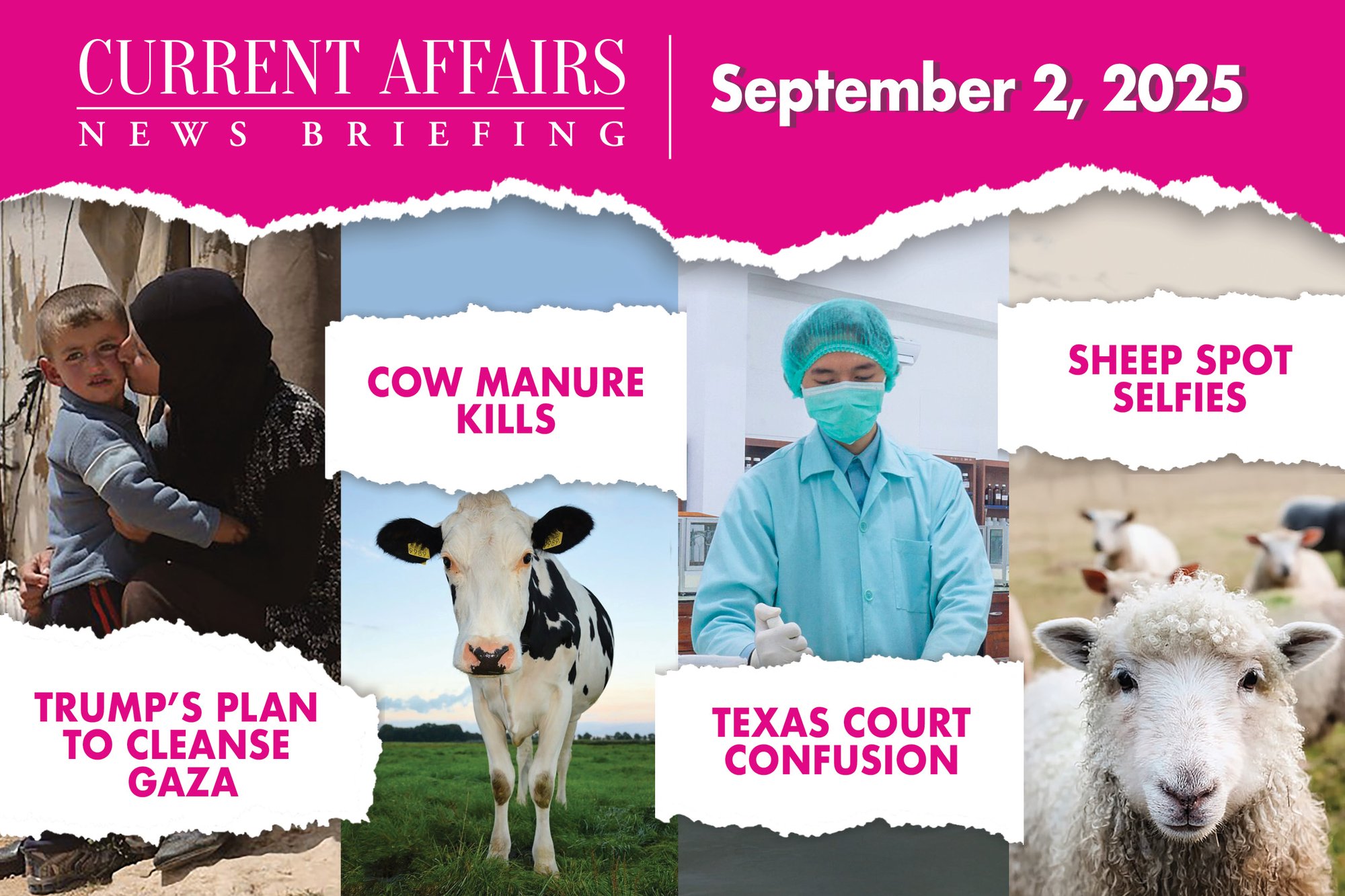 briefingpromo-204-V2