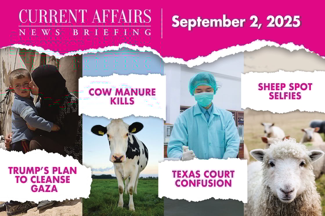 briefingpromo-204-V2