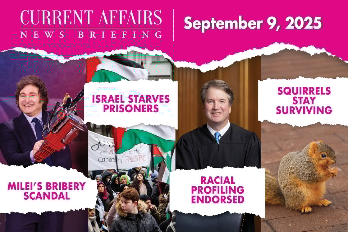 briefingpromo-205-V1