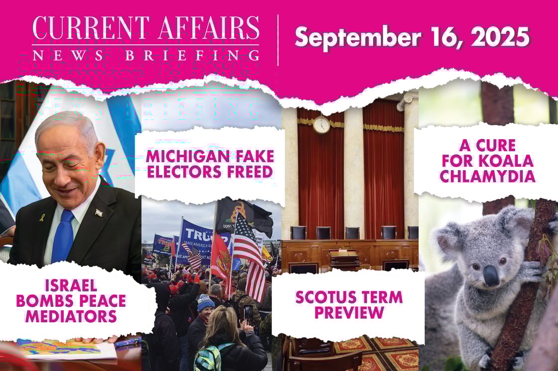 briefingpromo-206-V1