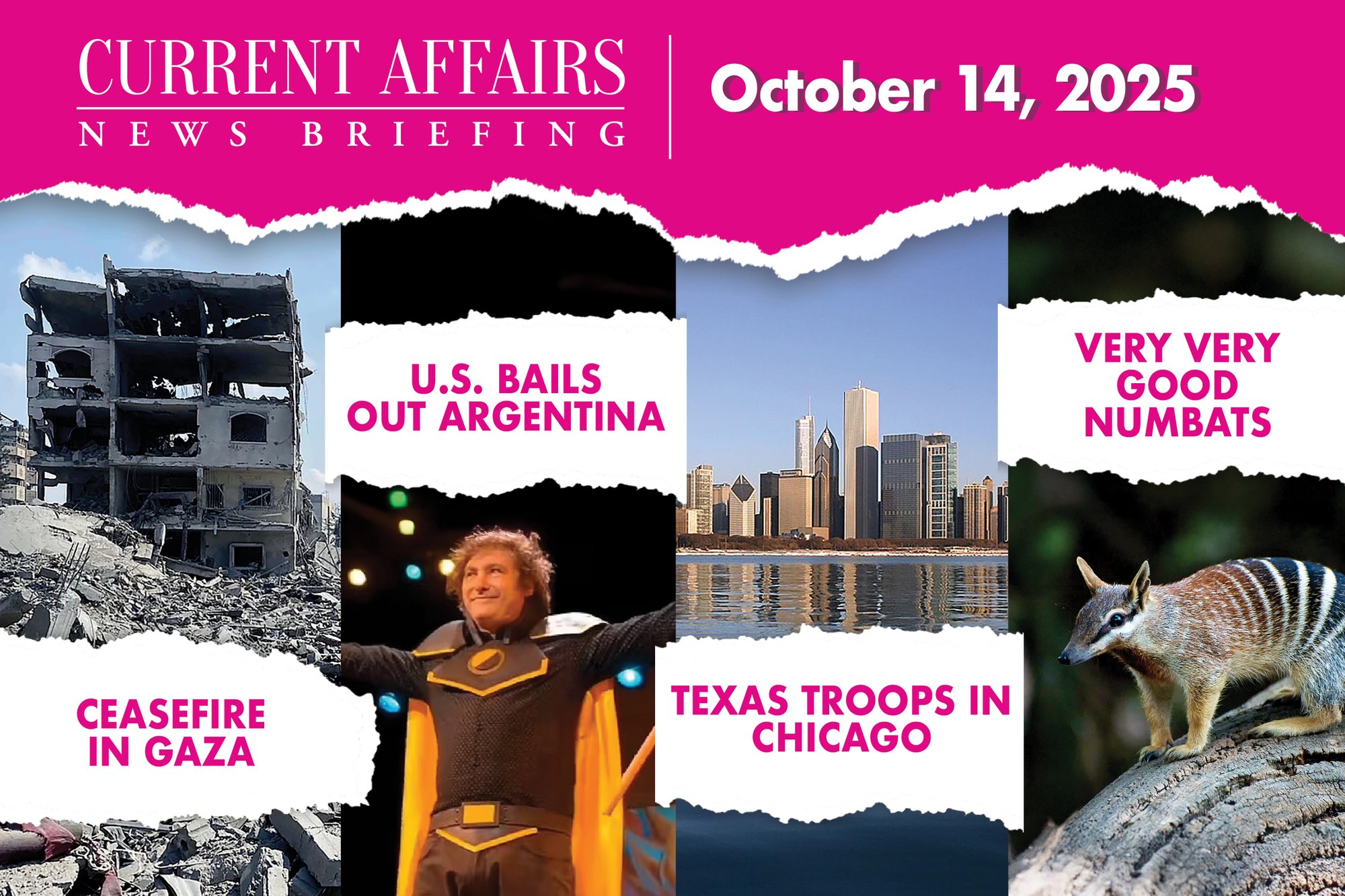 briefingpromo-210-V1