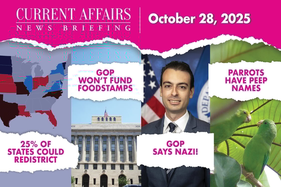 briefingpromo-212-V1