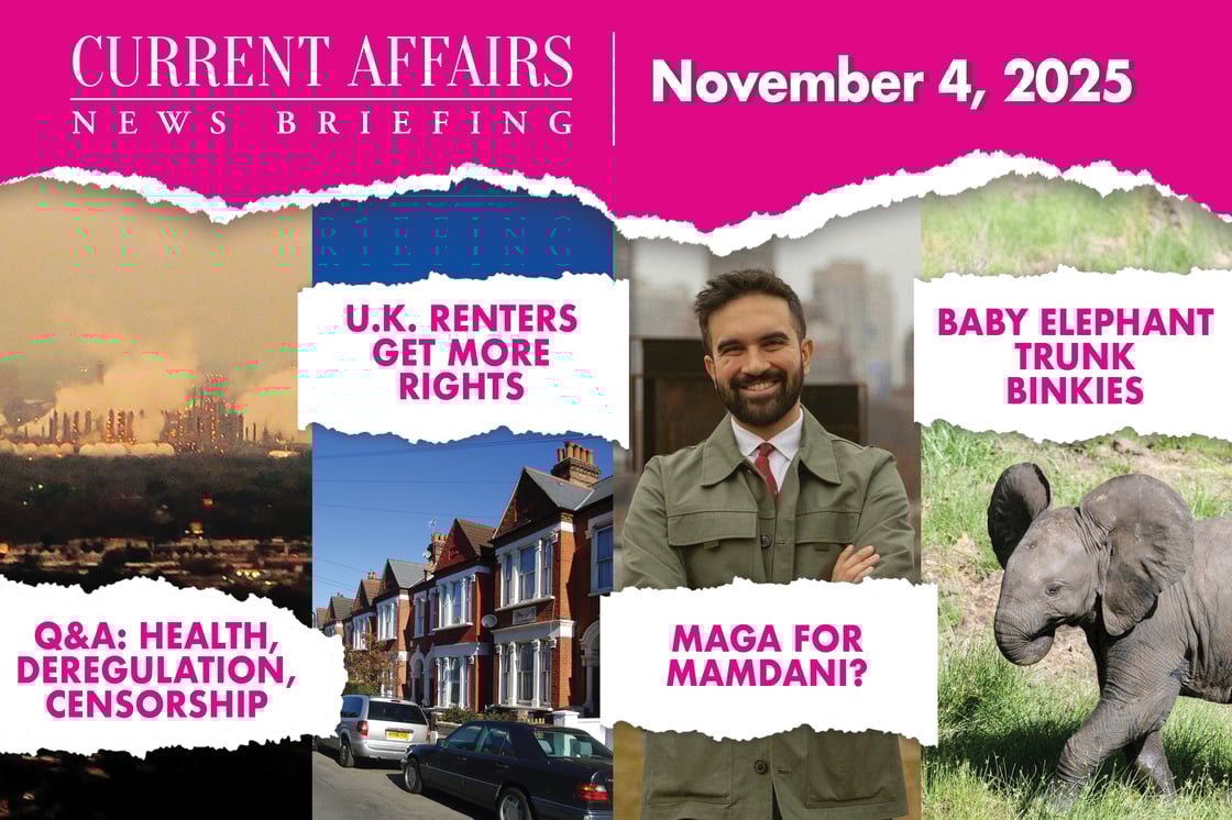 briefingpromo-213-V1