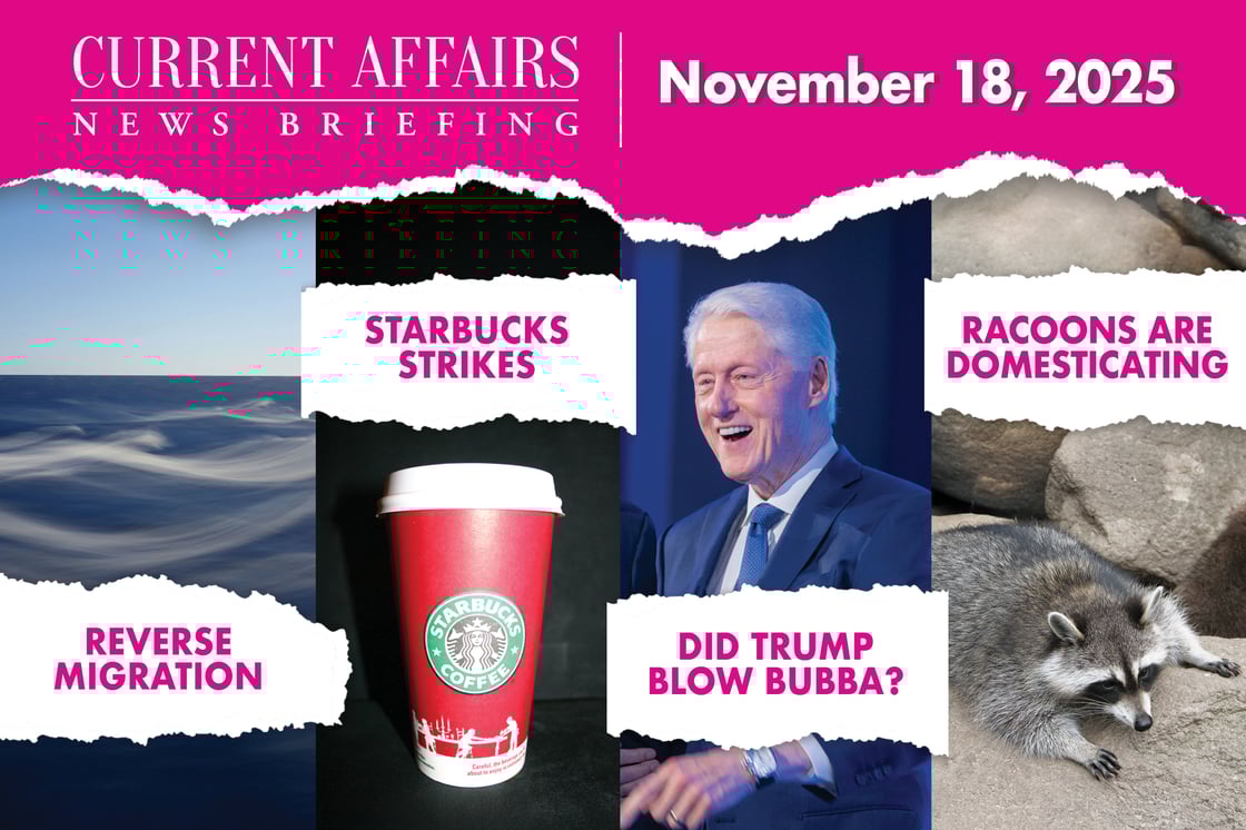 briefingpromo-215-V1