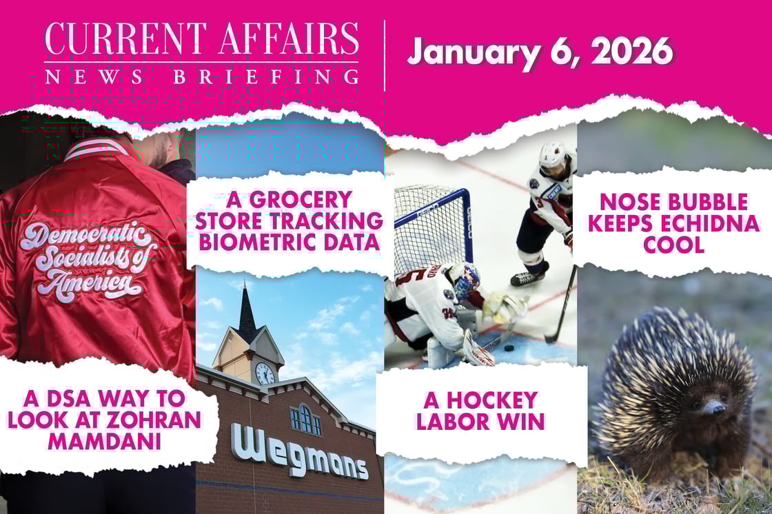 briefingpromo-222-V2