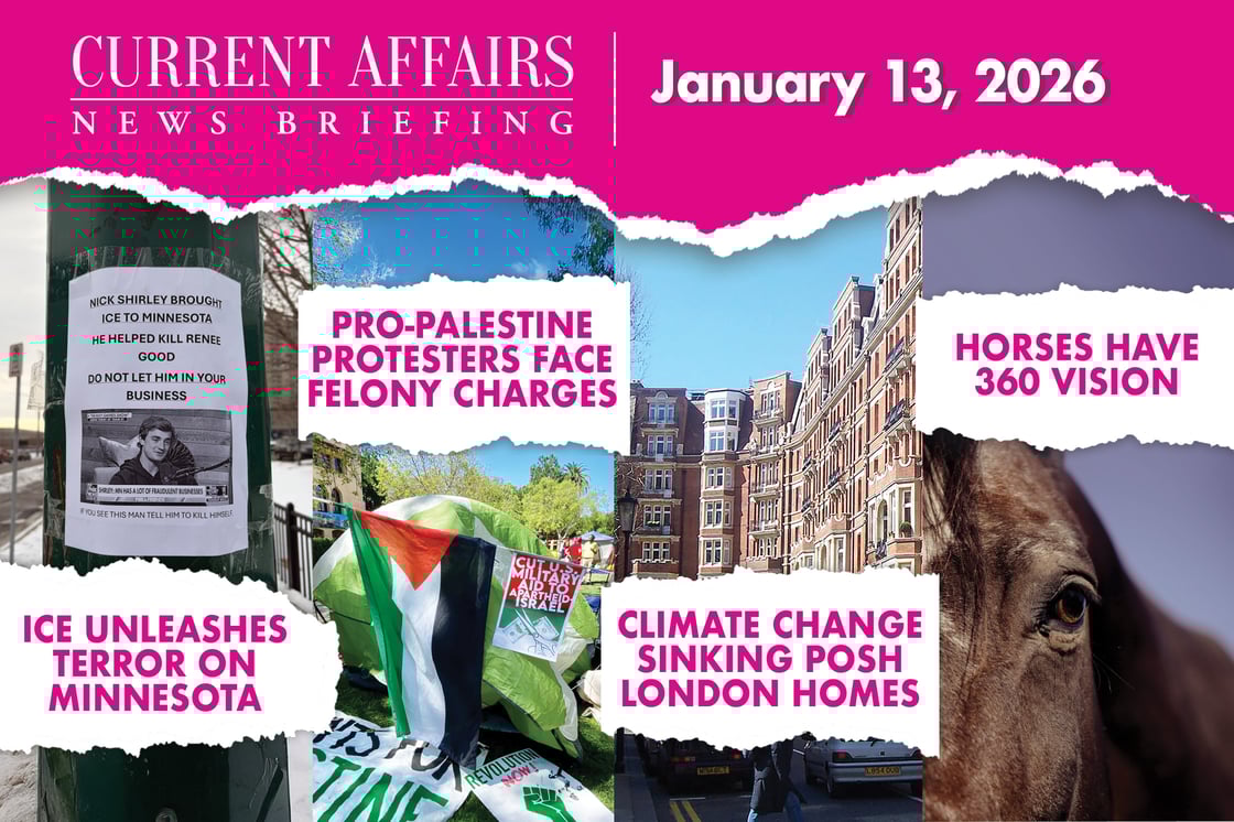 briefingpromo-223-V3