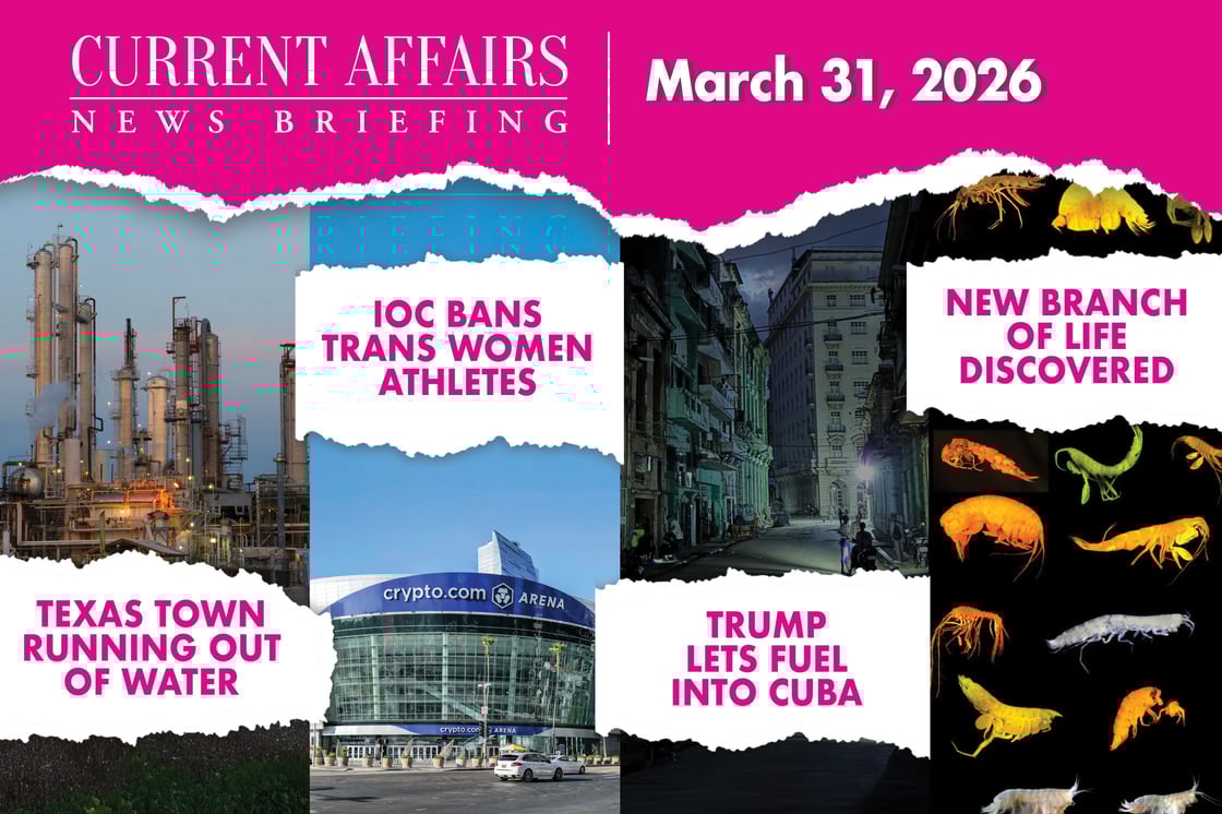 briefingpromo-233-V1