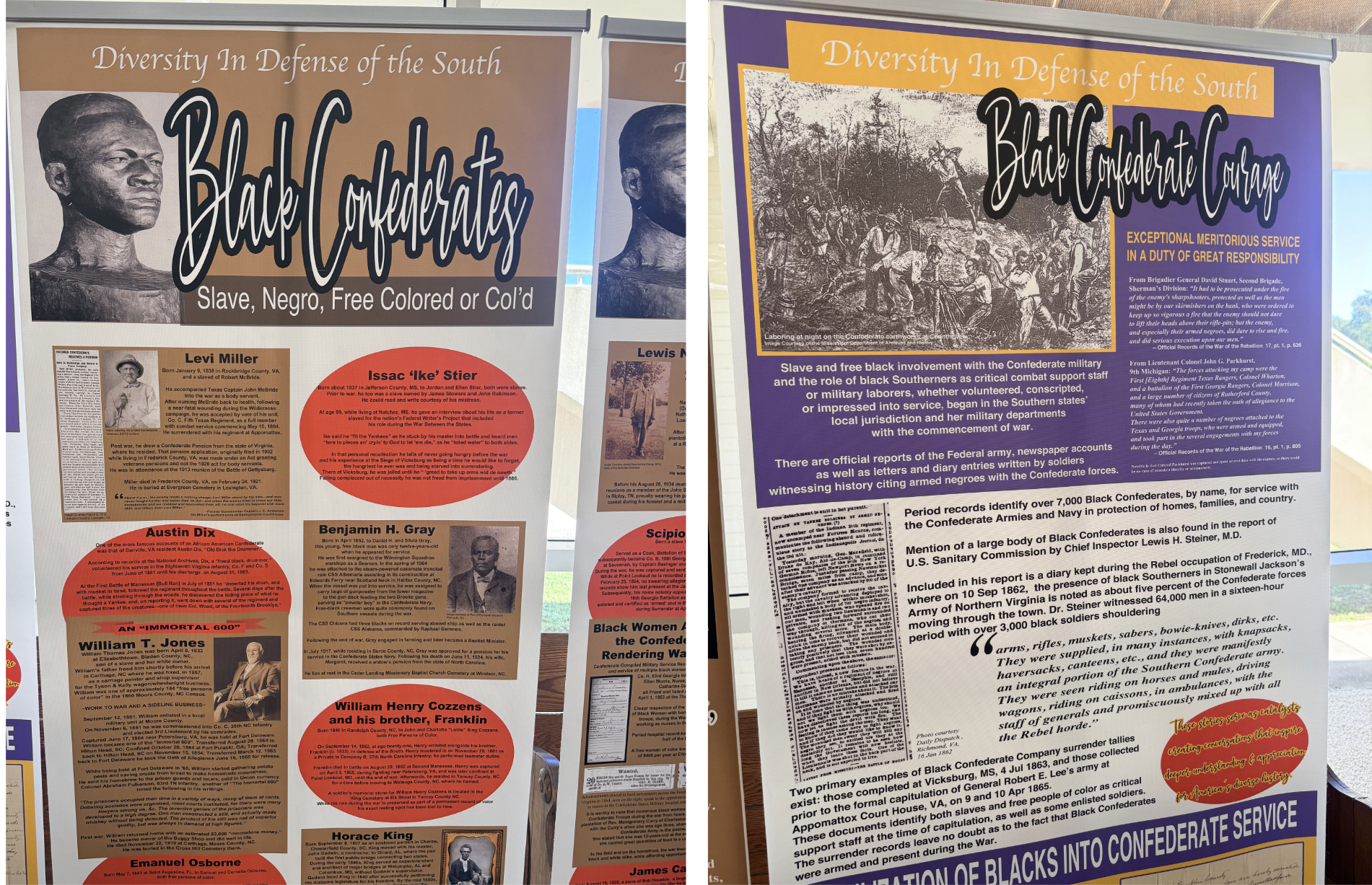 confederate collages-8