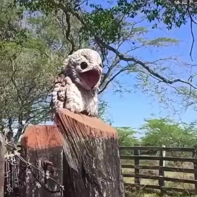 Snapsave.app_132832656_223772635933614_5971657009490023864_n