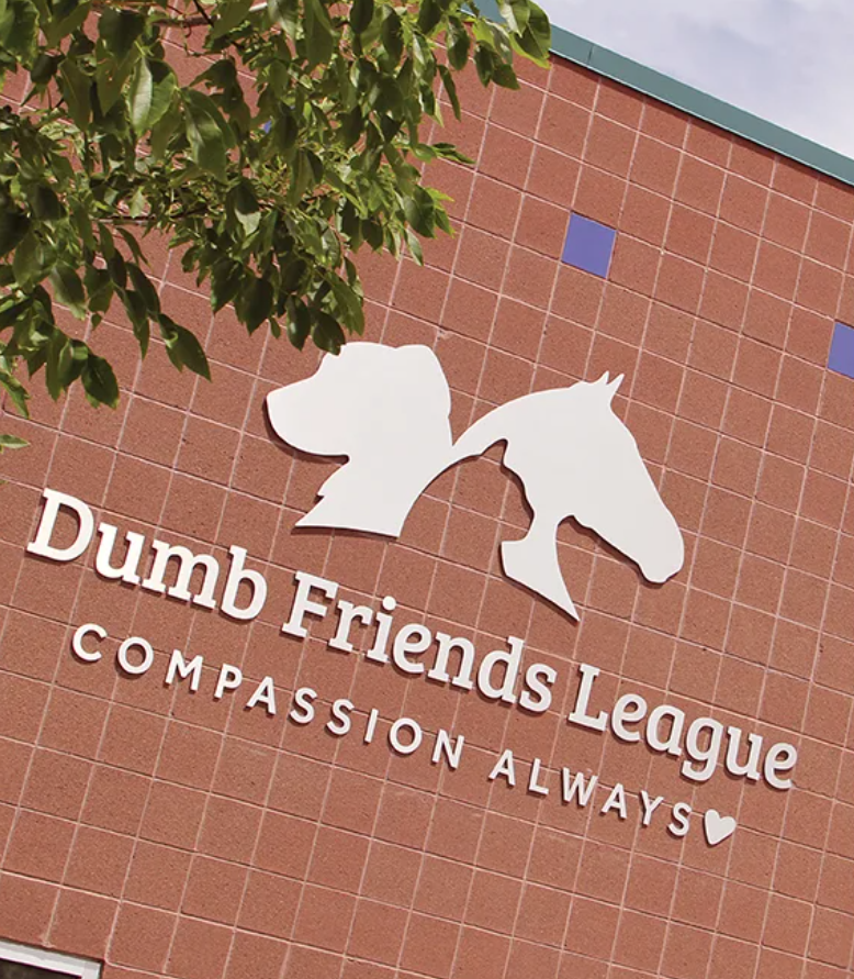 dumb friends league