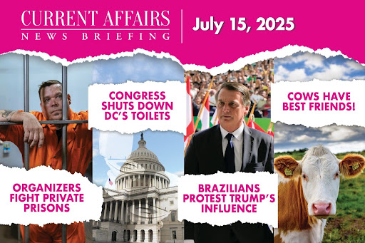 unnamed-Jul-15-2025-08-51-55-6655-PM