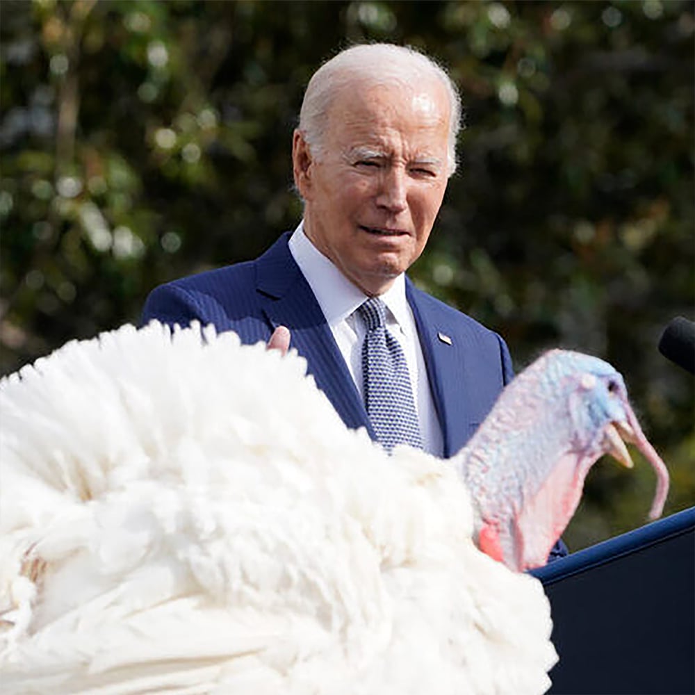 My Turkey Pardon
