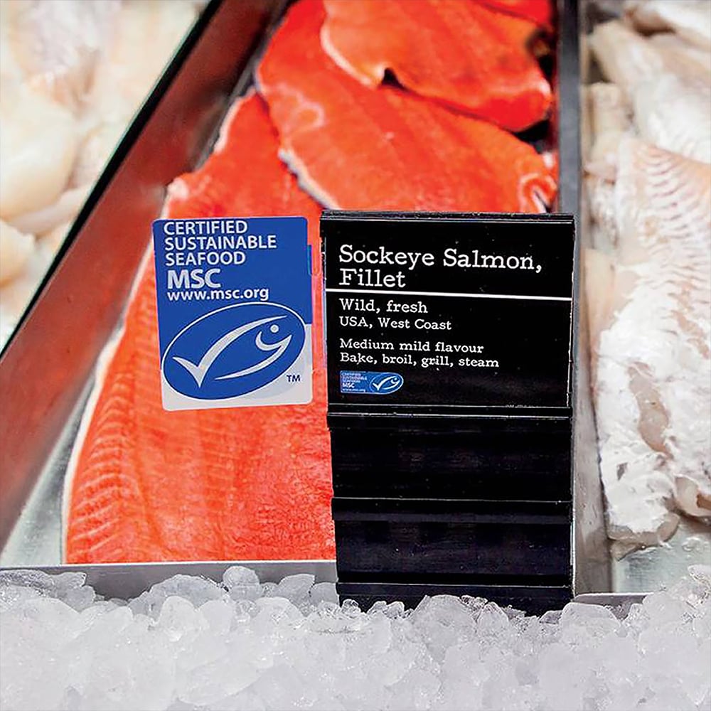 The Lie of Sustainable Fishing