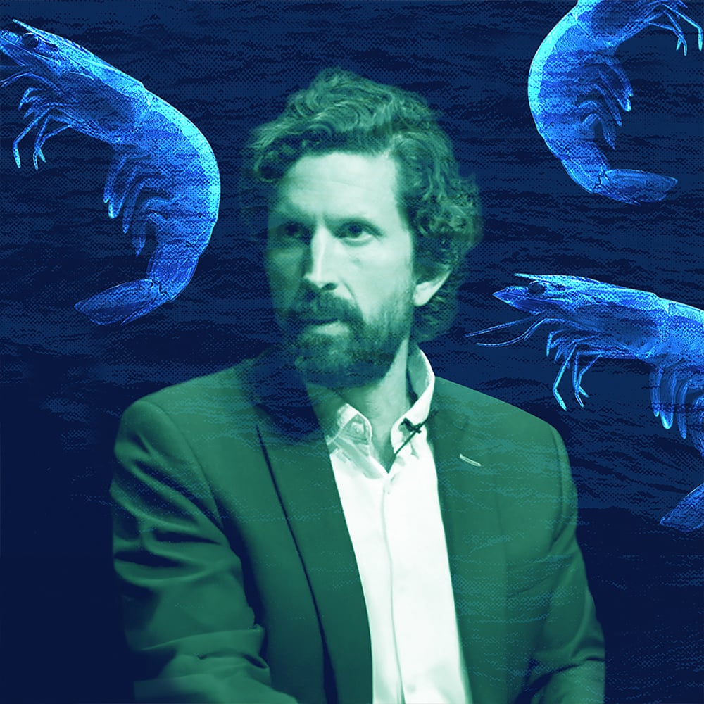 Why Shrimp Matter