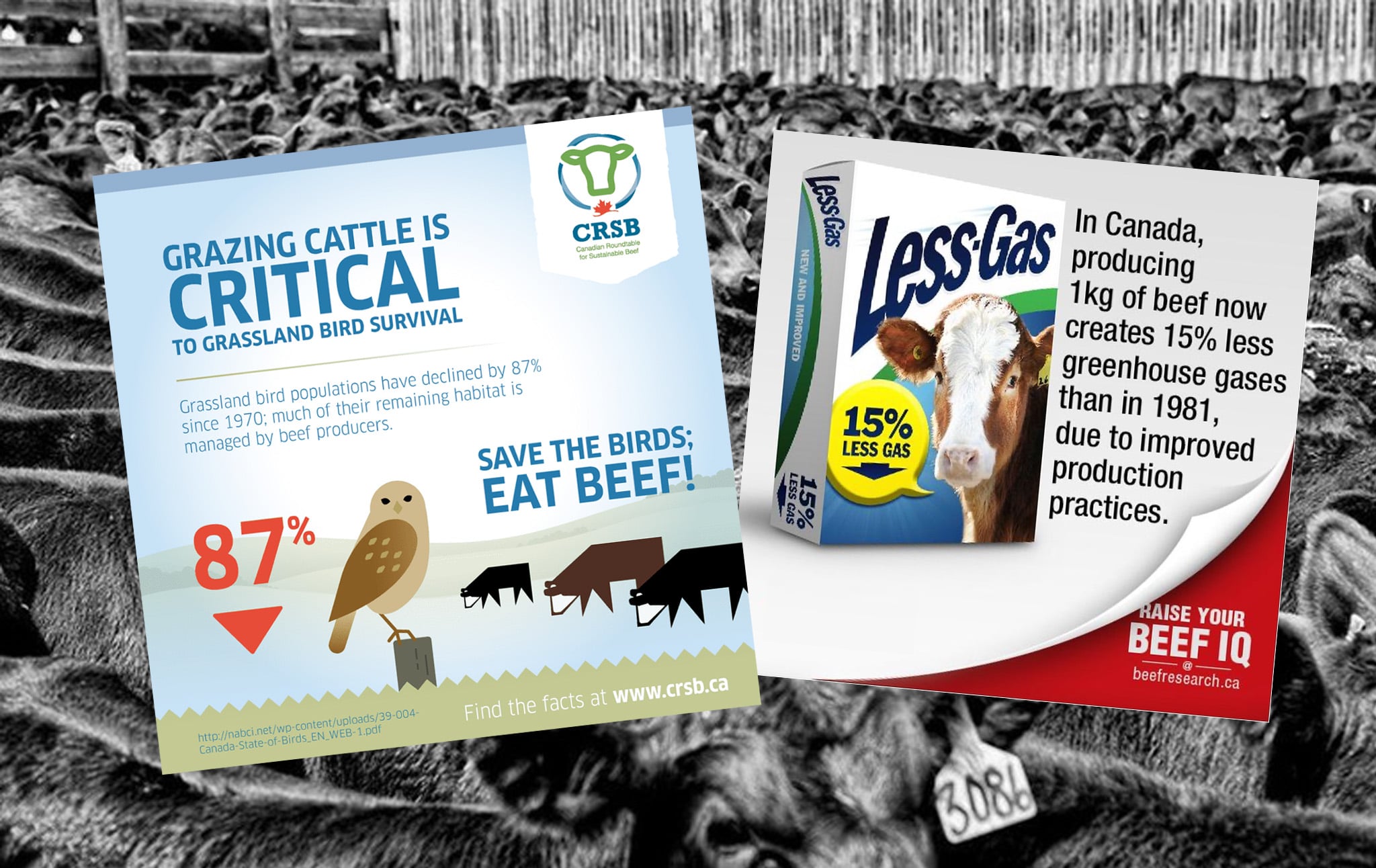 How the Beef Industry Captures Climate Science